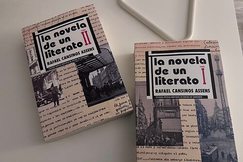 La novela de un literato, deshuesada