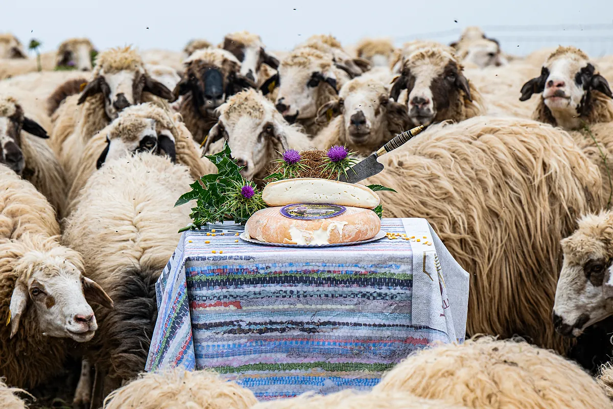 Tres quesos canarios que son el sabor de un territorio