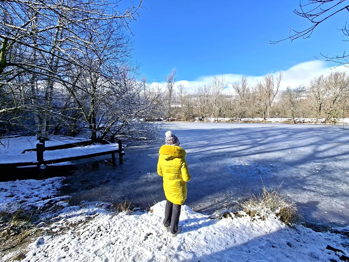 Inmersión en el Bosque Finlandés de Madrid que guarda un secreto de  El Quijote 