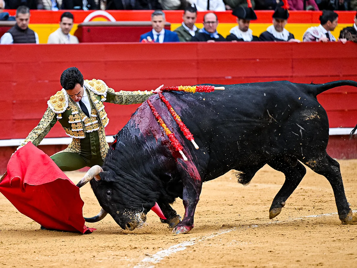Un atraco al viejo Tomás Rufo en la joyería de lujo de Domingo Hernández en Valencia
