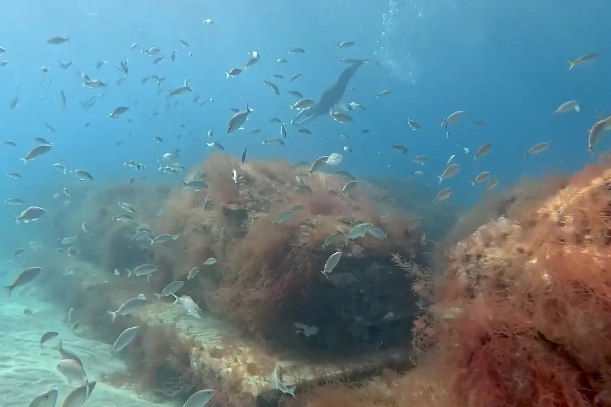Una autopista bajo el mar: Miami Beach sumerge decenas de 'vehículos' para atraer fauna