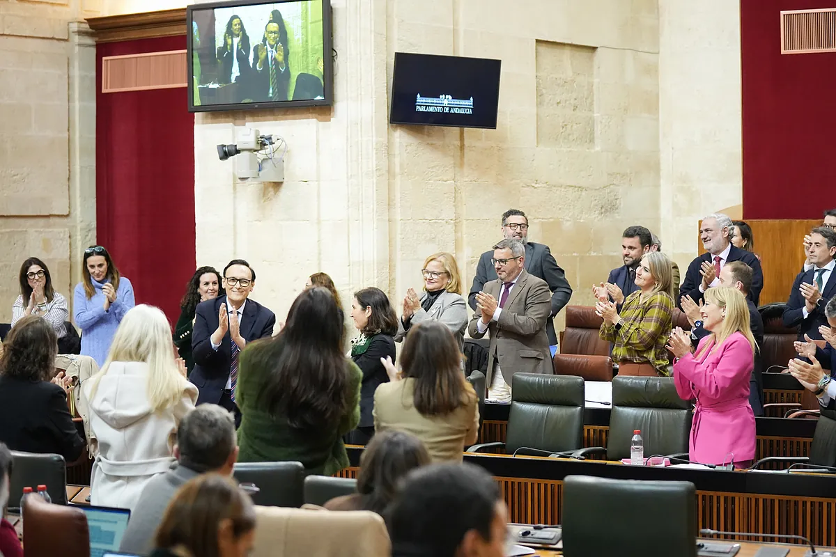 El Parlamento andaluz aprueba la nueva Ley Universitaria de Andalucía con los únicos votos de los diputados del PP