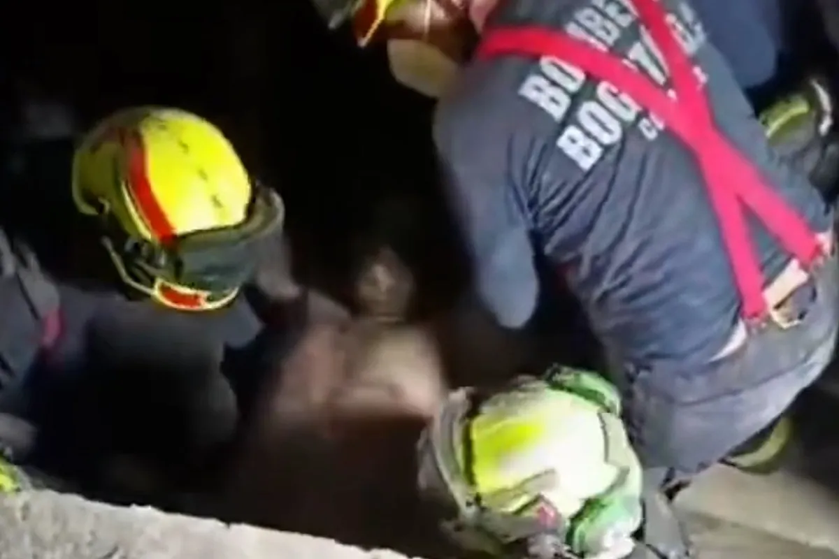 Así rescataron los bomberos de Bogotá a un joven atrapado tras el terremoto: hay 3.000 desaparecidos