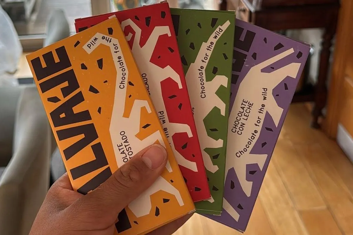 El chocolate gallego que financia el regreso de Amaru, un jaguar rescatado del tráfico ilegal, a la Amazonía peruana