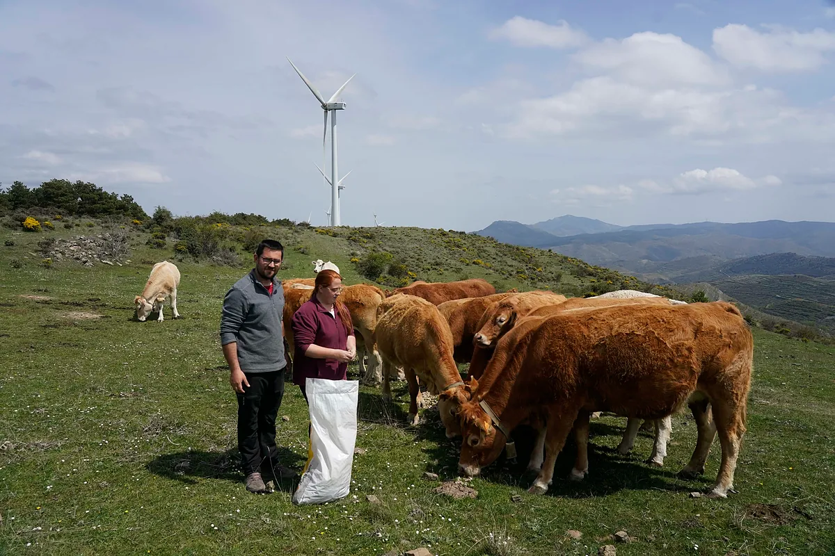 La lucha de dos jóvenes ganaderos contra los lobos y la Administración: "De cada 1.000 ataques se contabilizan 100"