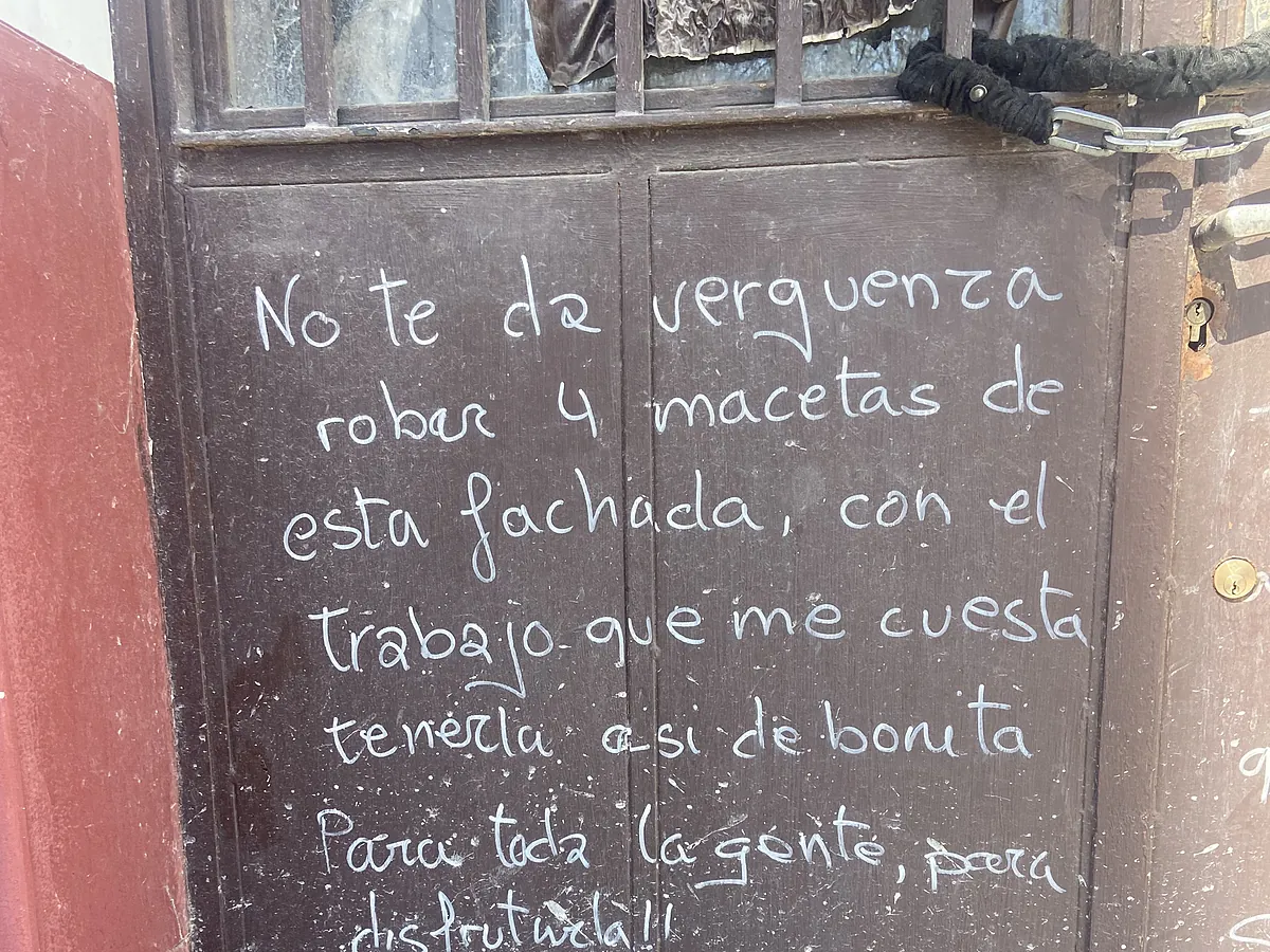 A propósito del robo de cuatro macetas