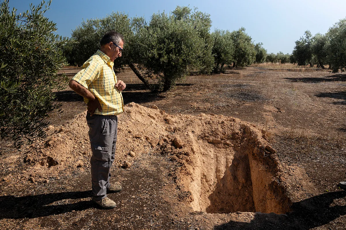 Olivareros de la Campiña Norte de Jaén llevan a los tribunales su lucha contra la construcción de una  megaplanta  fotovoltaica