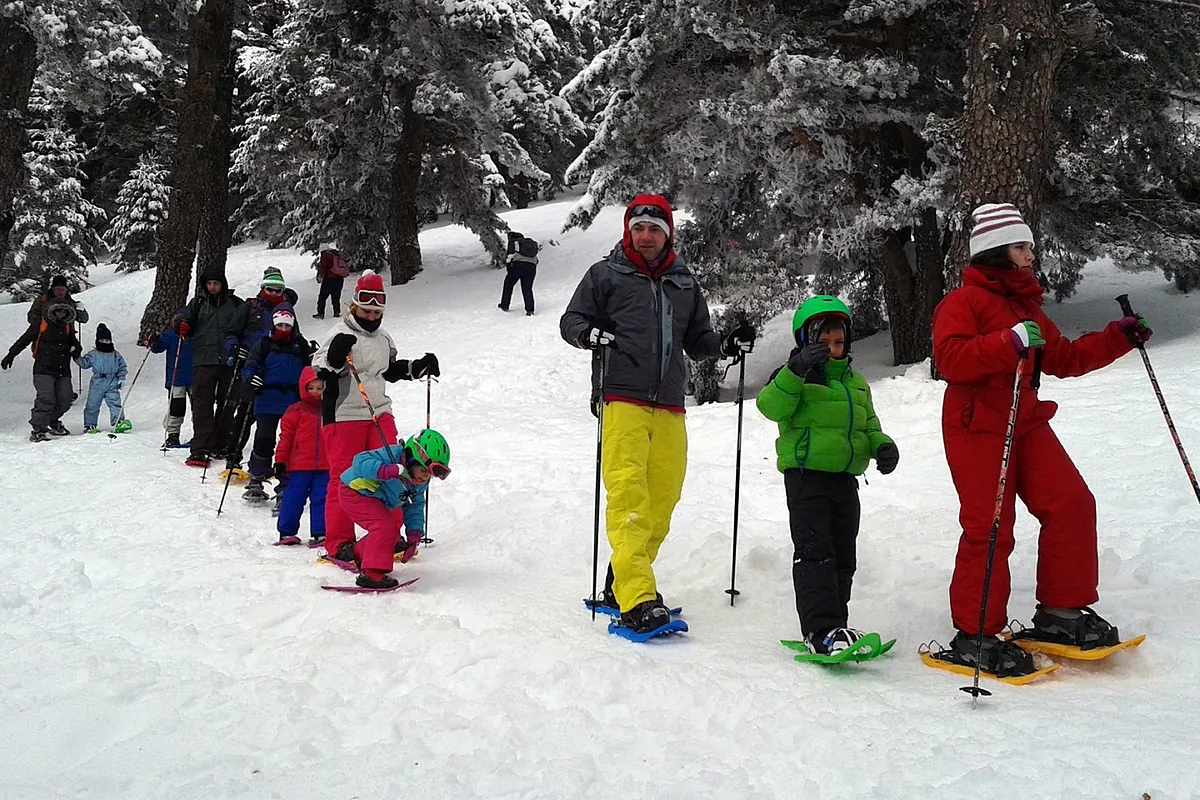 Una actividad polar en familia: paseo con raquetas, trineos y construcción de iglús