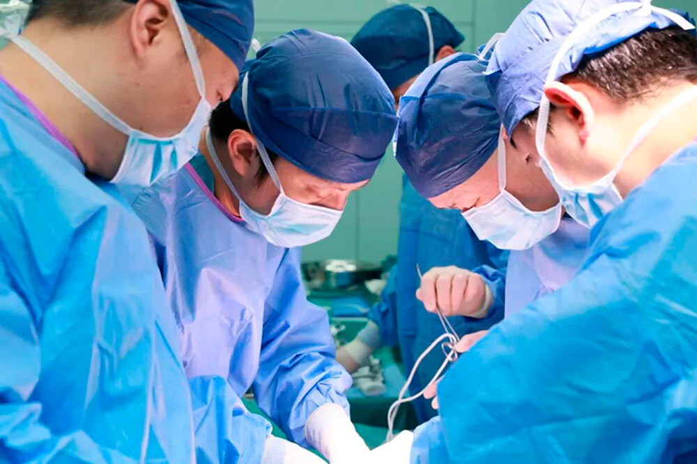 Genetically Modified Pig Liver Supports Human with Liver Failure – No Transplant Needed
