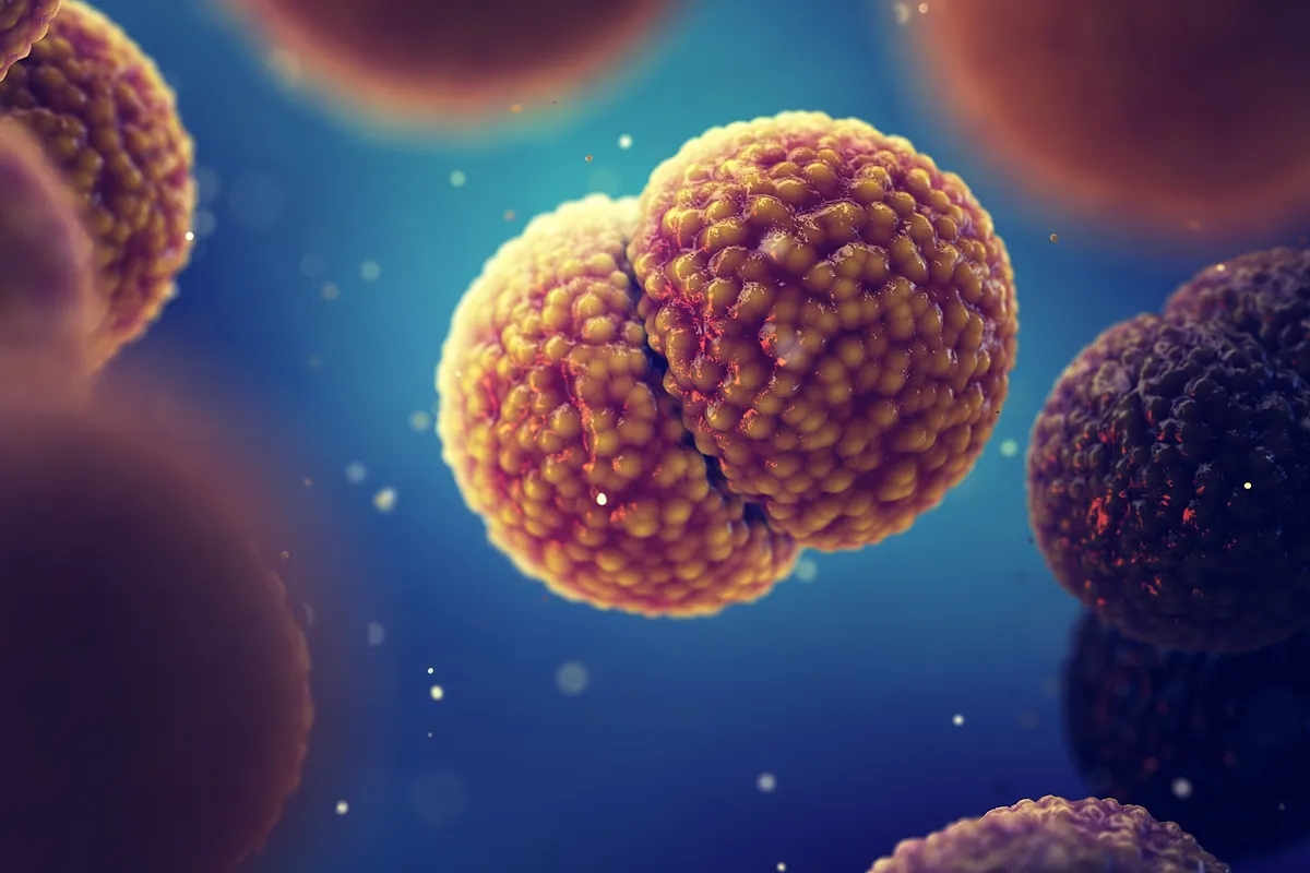 Muere una niña de 11 años en Ourense por una posible meningitis  y la Xunta activa el protocolo de prevención