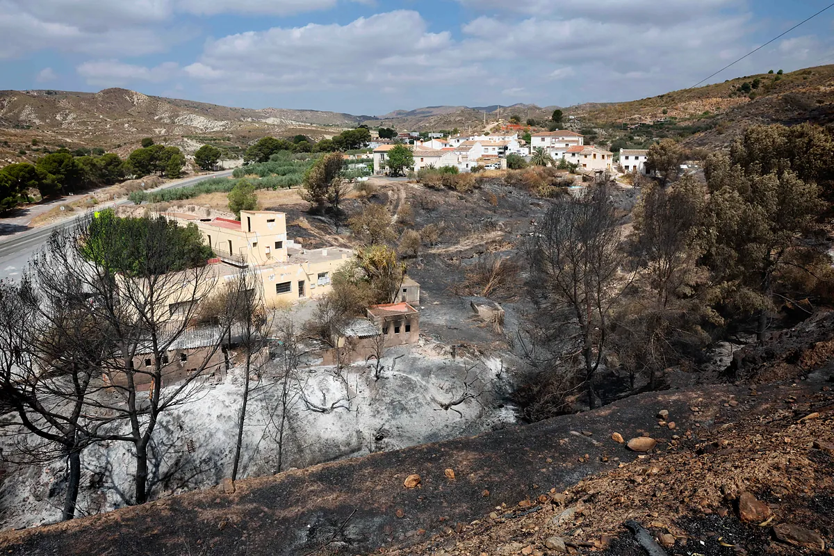 "Desprotección masiva" ante los incendios forestales: El 80% de los municipios en riesgo, incluidos Los Gallardos y Bédar, sin plan de emergencia ante el fuego