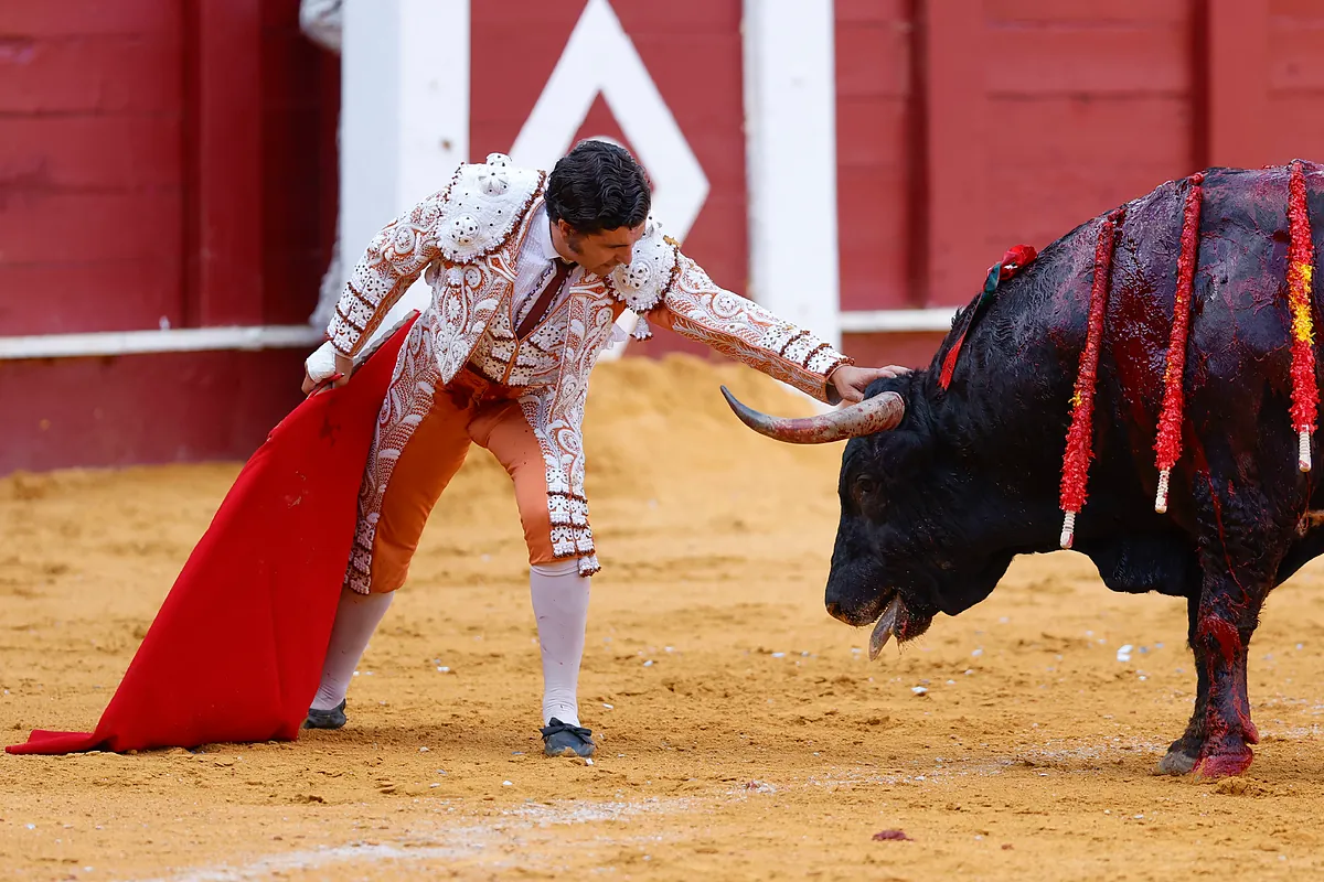 Toros hoy, 22 de agosto de 2026: quién torea en los festejos de este sábado