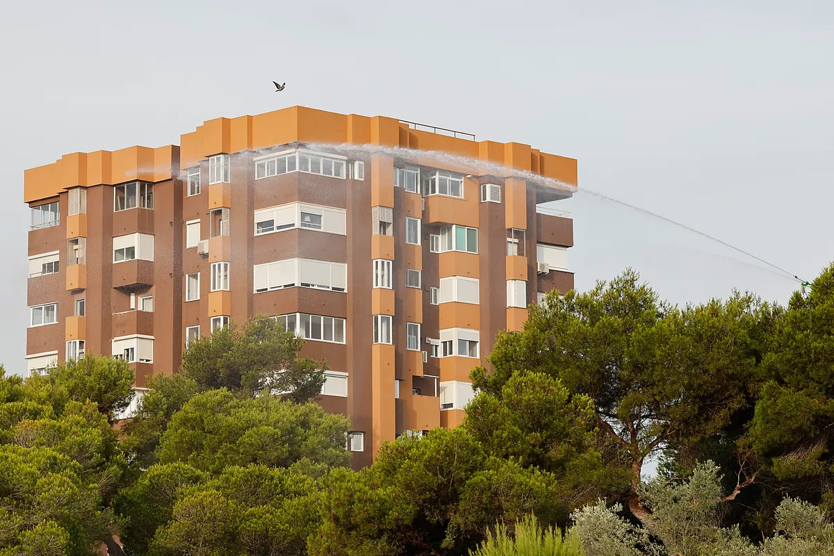 Activados tres medios aéreos por un posible incendio en la Devesa de El Saler