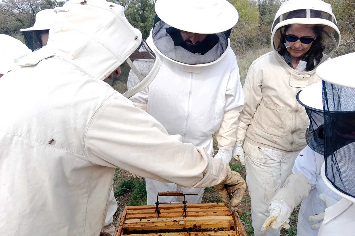 Apicultor por un día a una hora de Madrid: cómo ver una colmena por dentro y extraer miel de un panal