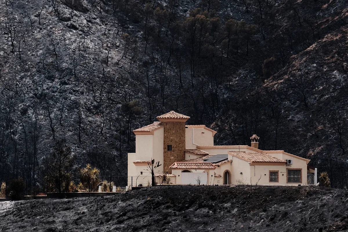 Incendio en Almería, última hora de Los Gallardos, en directo | Obtienen el perfil genético de los 12 fallecidos en el incendio de Los Gallardos