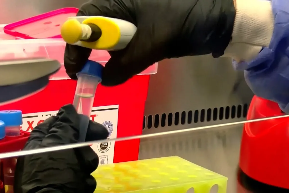 Los peligros del hantavirus de los Andes: "Es la única cepa del mundo que se contagia entre personas"