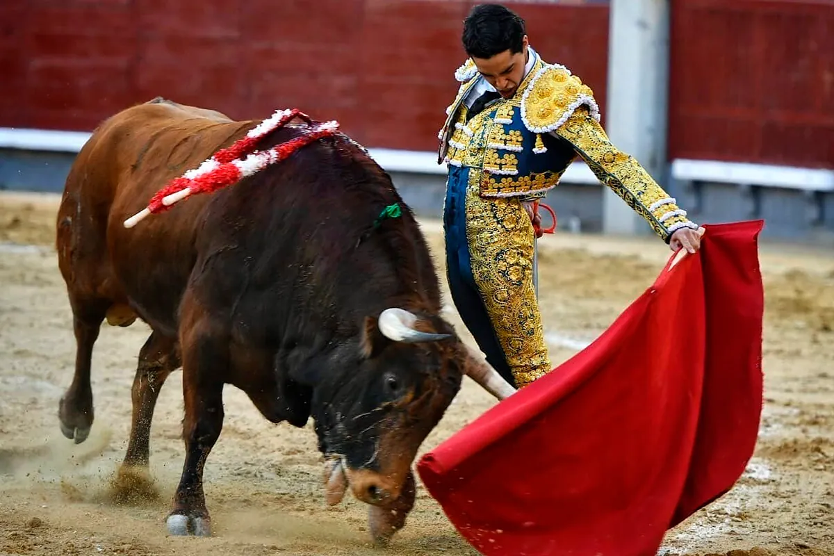 Mario Navas se rompe la clavícula en Toro a un mes de confirmar la alternativa en Madrid