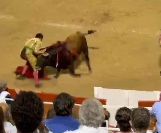 Bullfighter Injured After Fall During Final Bout