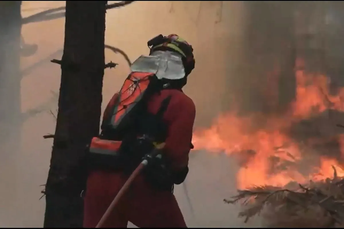 El incendio de La Mierla (Guadalajara) afecta ya a unas 29.000 hectáreas pero frena su avance a Soria