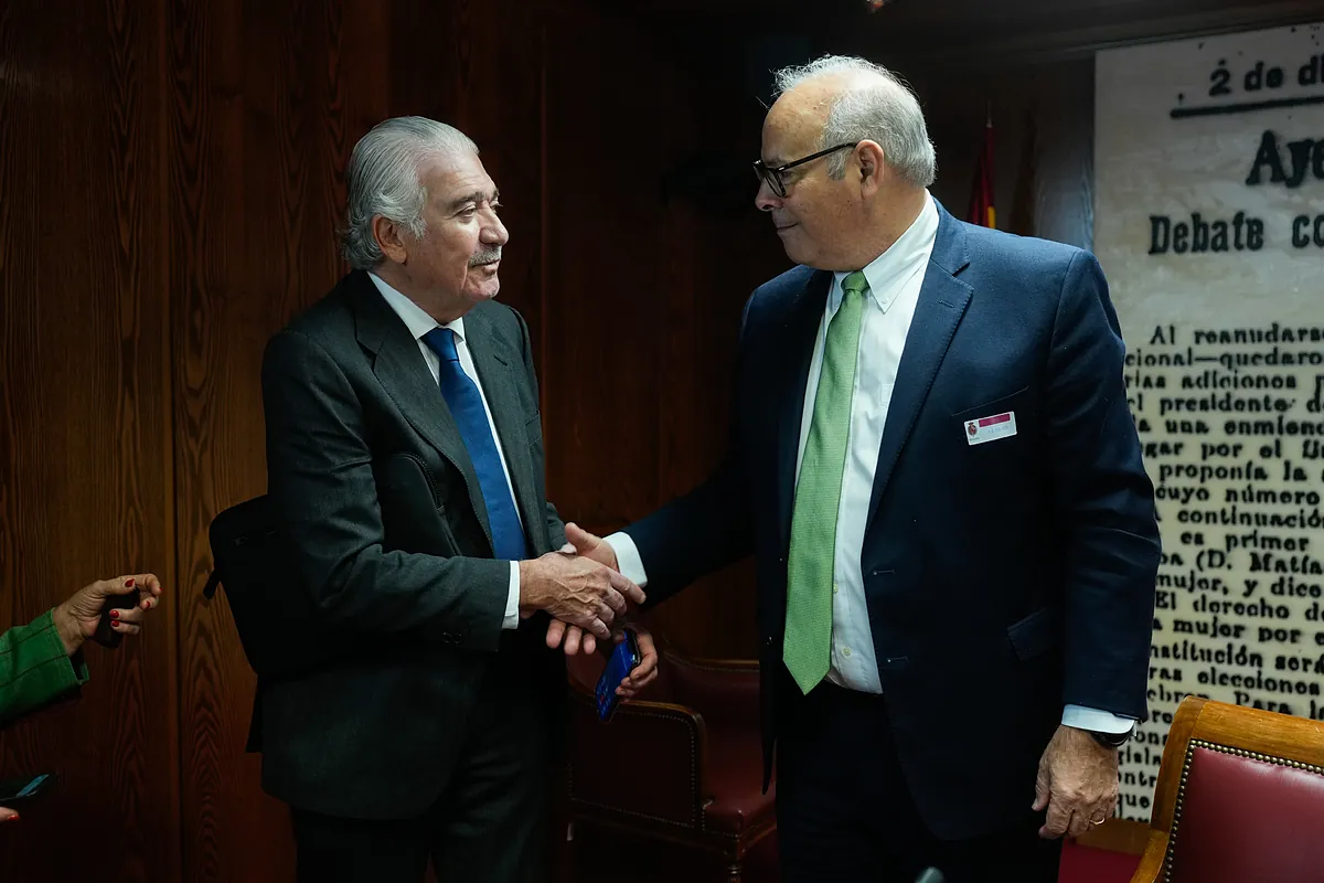 Iberdrola y Endesa cargan contra Red Eléctrica en el Senado: "La causa del apagón fue solo una, un error de programación el 28 de abril"