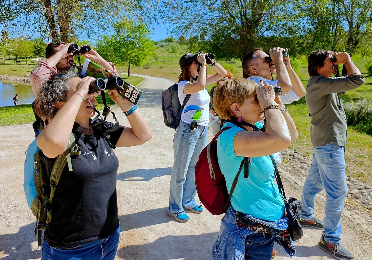 En busca del ave del año en Valdebebas:  Elegir una especie tan conocida nos permite acercar la conservación a todos los públicos 
