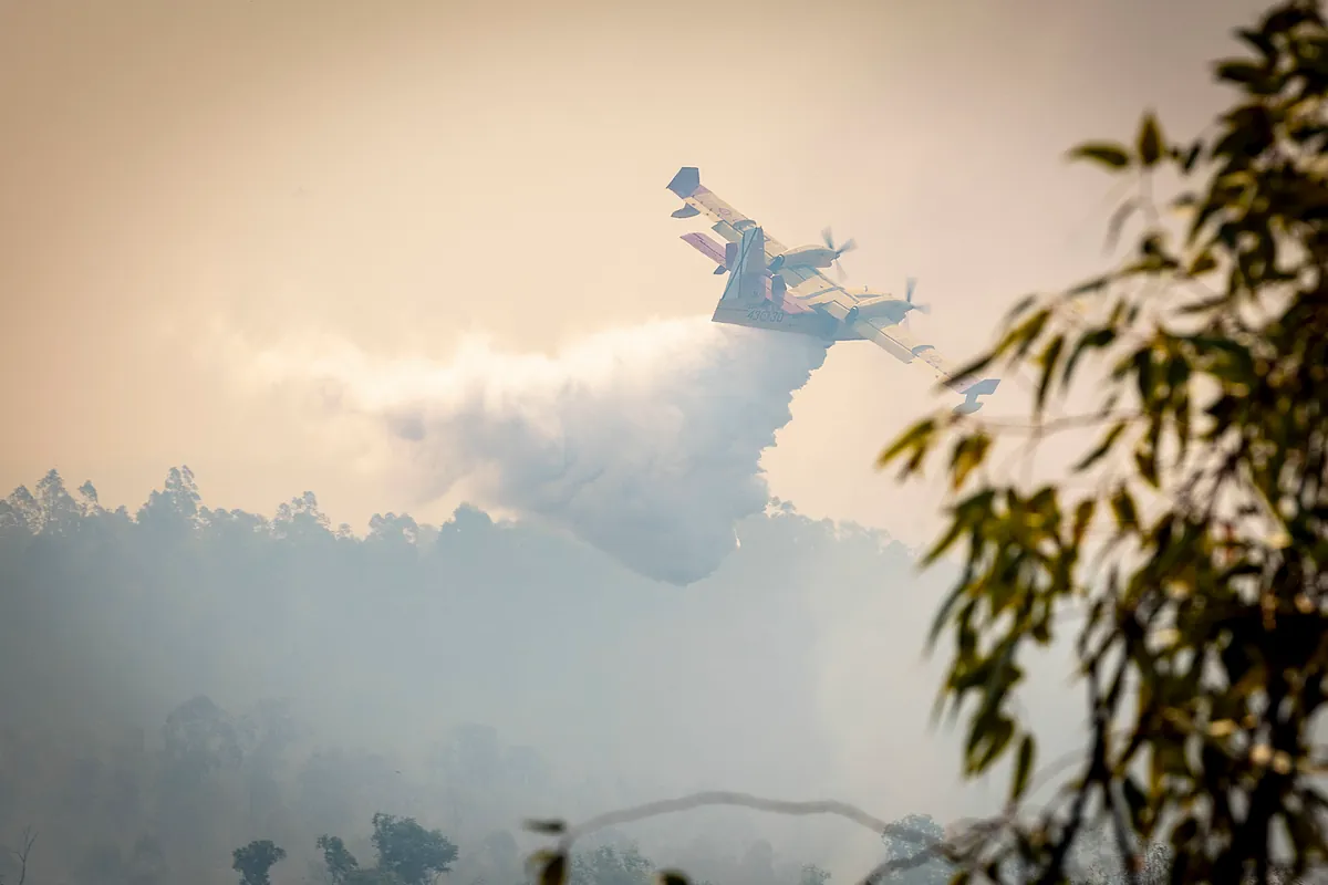 El incendio de Niebla supera ya las 4.000 hectáreas con el viento como el gran enemigo para controlar las llamas