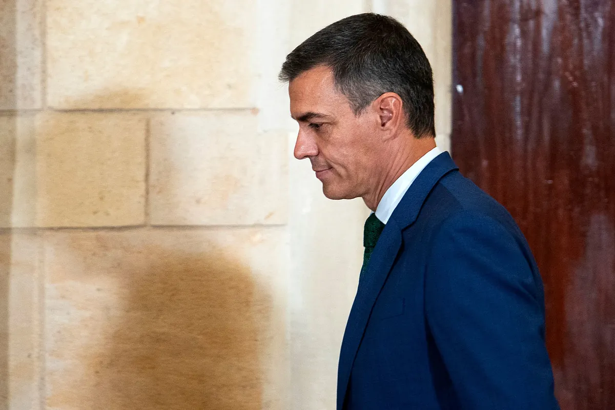 El Ayuntamiento de Palma declara persona  non grata  a Pedro Sánchez con los votos de PP y Vox