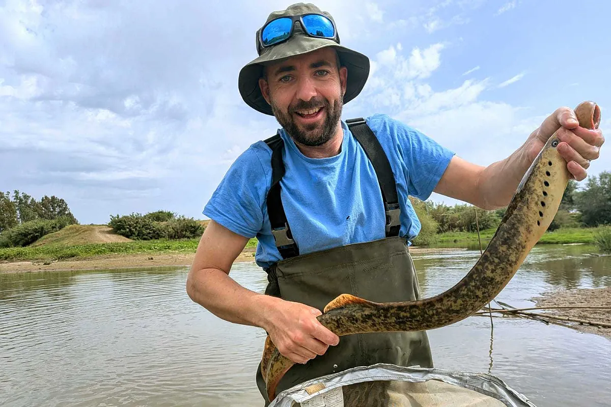 Un equipo de la Estación Biológica de Doñana captura una lamprea marina, en peligro crítico de extinción, en la Rivera de Huelva