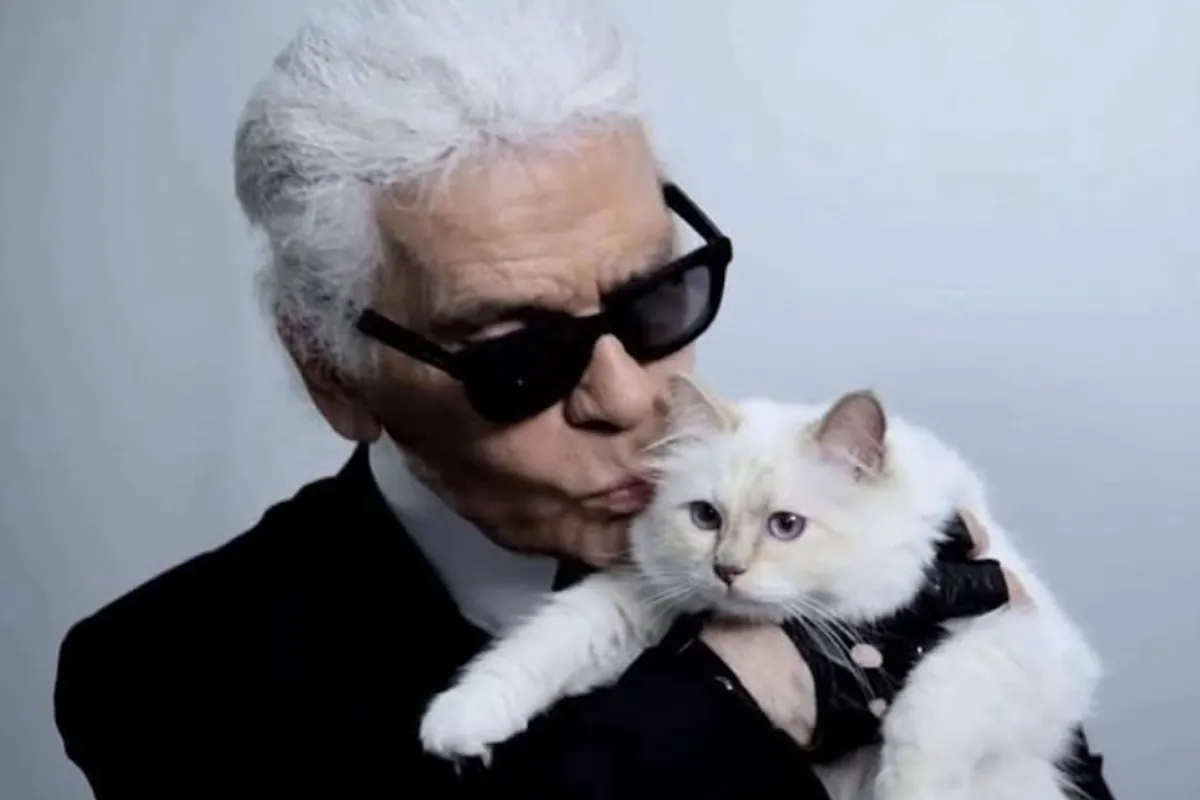 Siete años después, la gata Choupette aún no ha heredado los millones de Karl Lagerfeld, aunque "recibe todo el amor, atención y cuidado que necesita"