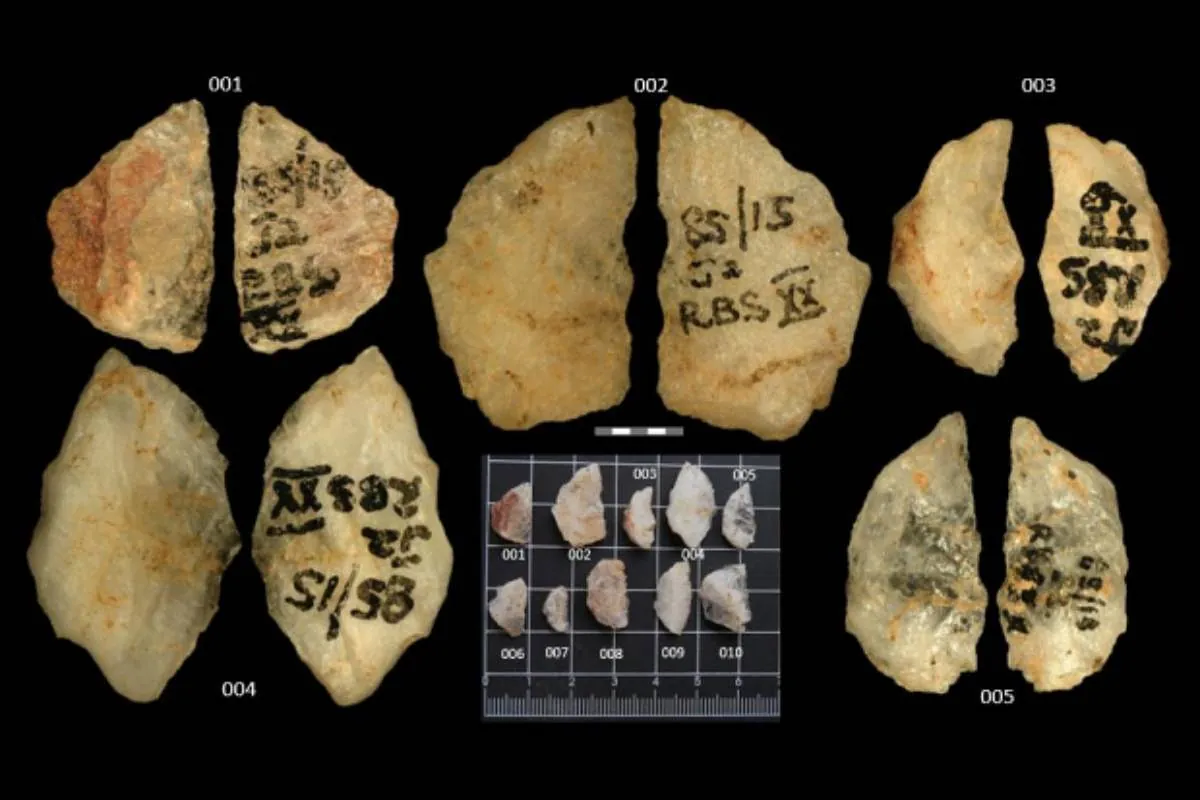 El uso más antiguo de veneno para la caza, hallado en puntas de flecha de hace 60.000 años