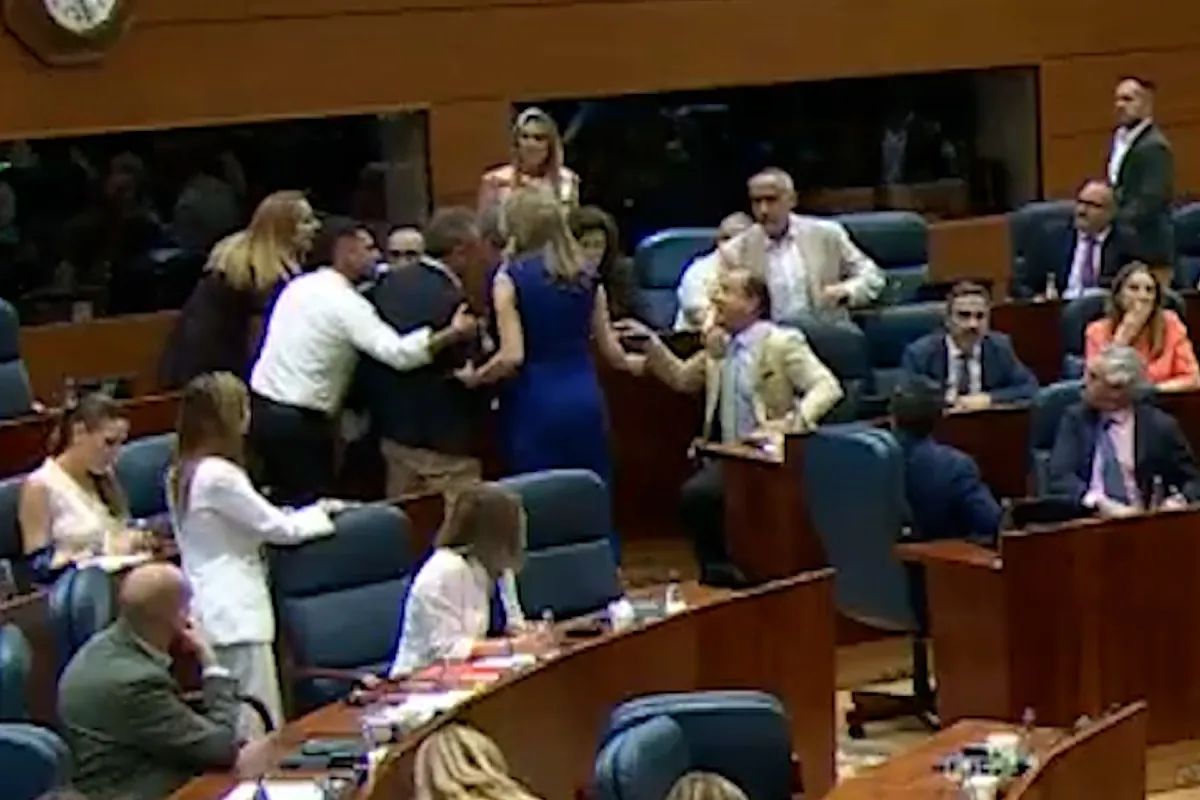 Dos diputados del PP y PSOE se enzarzan y casi llegan a las manos en la Asamblea de Madrid