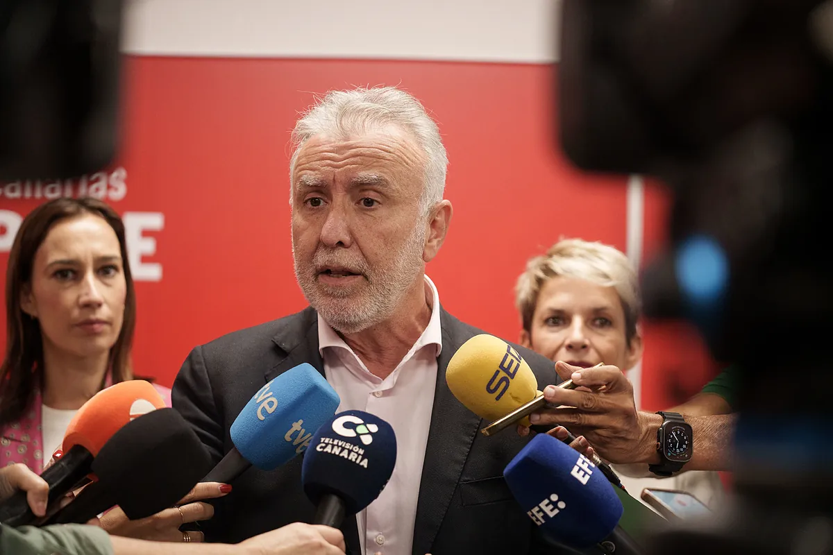 Torres defiende que el informe de la UCO acredita que "actuó ...