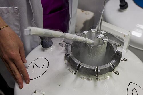 La Justicia de Pa�ses Bajos responsabiliza a un hospital de las inseminaciones que hizo un ginec�logo con su propio esperma