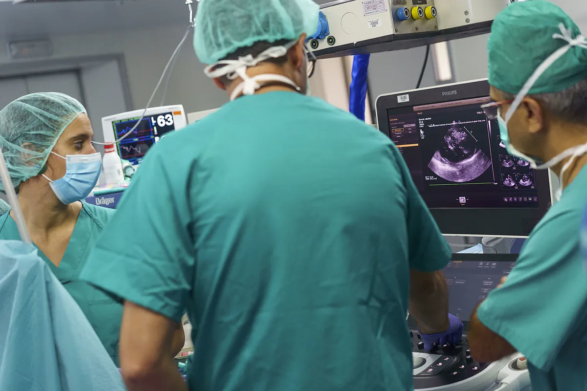 La ONT no bate récords pero, por segundo año, vuelve a superar los 6.300 trasplantes de órganos en 2025