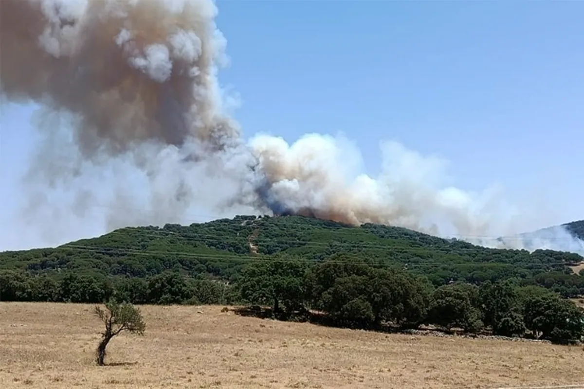 Medio centenar de desalojados por un incendio declarado en Grazalema, que ha obligado a activar el plan de emergencias