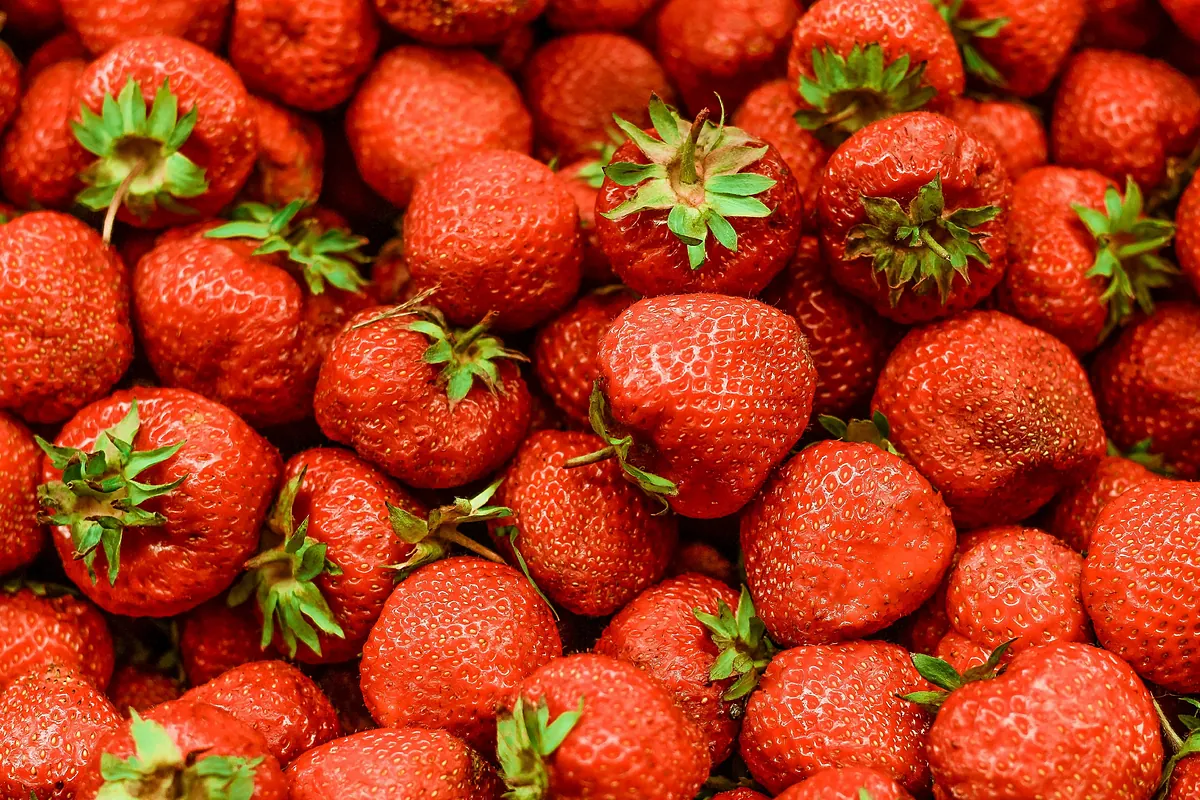 Fresas: propiedades, beneficios y calorías de este fruto