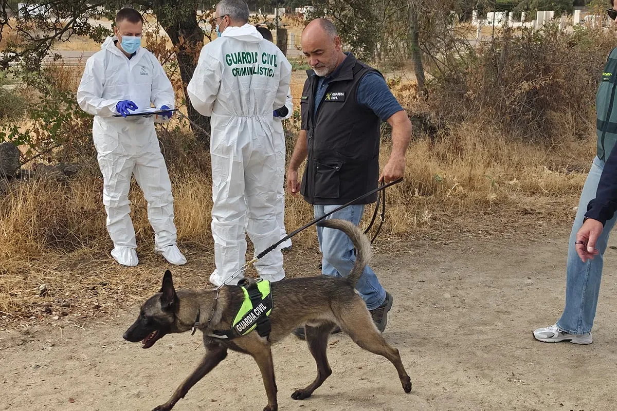 Detenidas cuatro personas por el asesinato de la octogenaria Elia en Galapagar