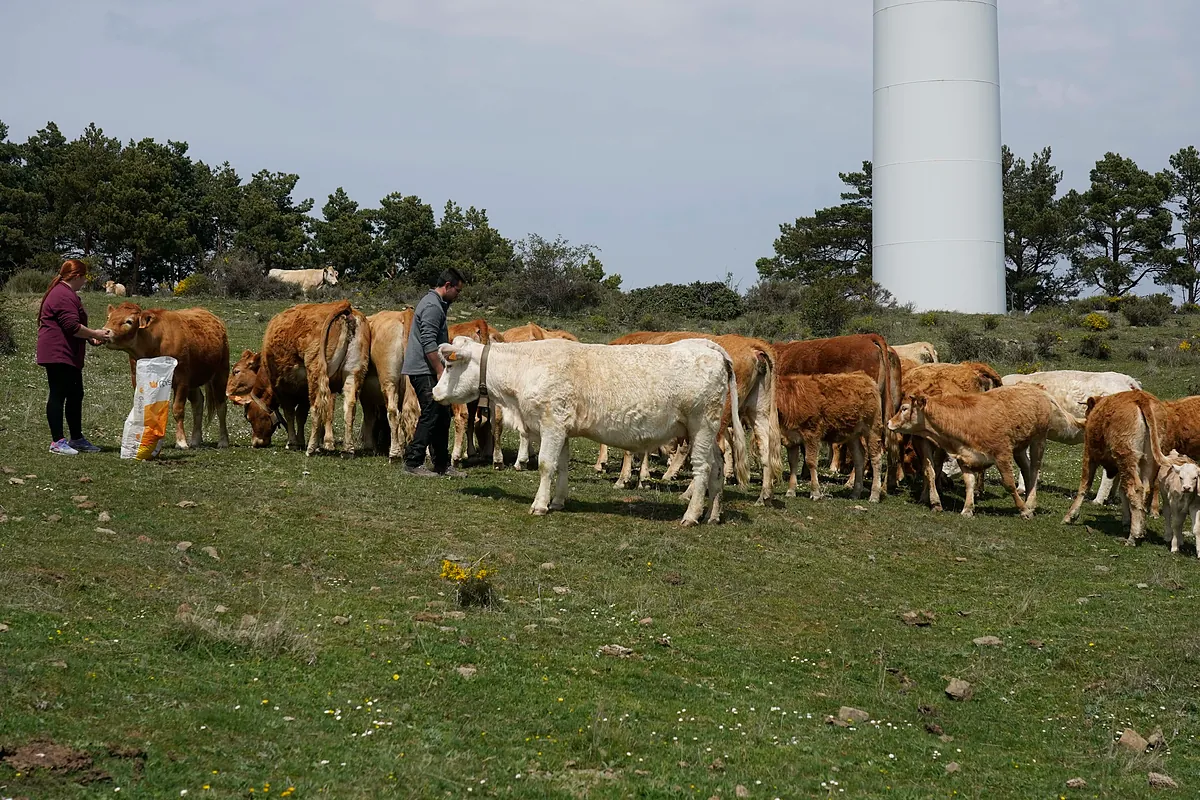 El impacto retardado del precio de los fertilizantes o por qué los alimentos subirán a final de año incluso si la guerra acaba
