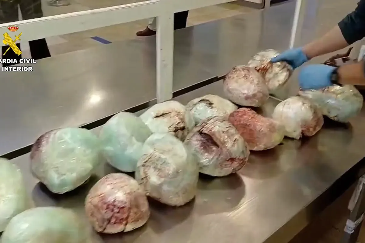 Incautados en Barajas 15 pangolines muertos en una maleta