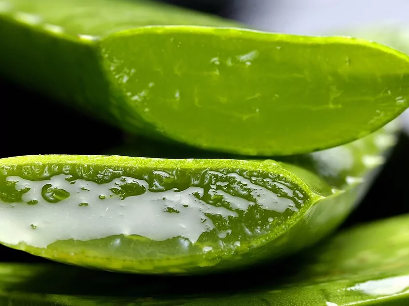 bamboo aloe vera Bio-Hydrate Bamboo + Aloe Vera Shampoo – bioluxe main image 0