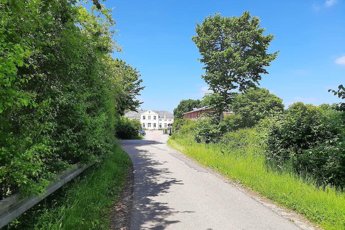 Tres personas mueren, entre ellas una niña de 10 meses, por la caída de un árbol mientras buscaban huevos de pascua