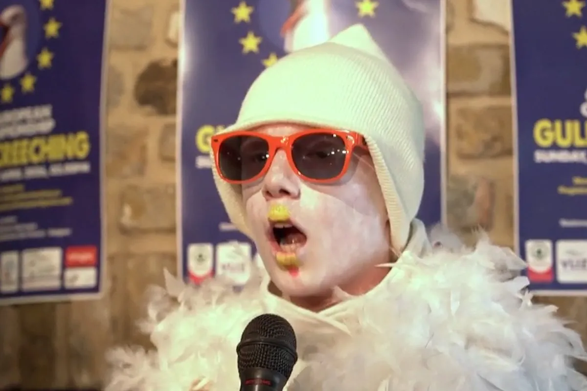 El alocado concurso para imitar el canto de las gaviotas y derribar prejuicios contra estas aves