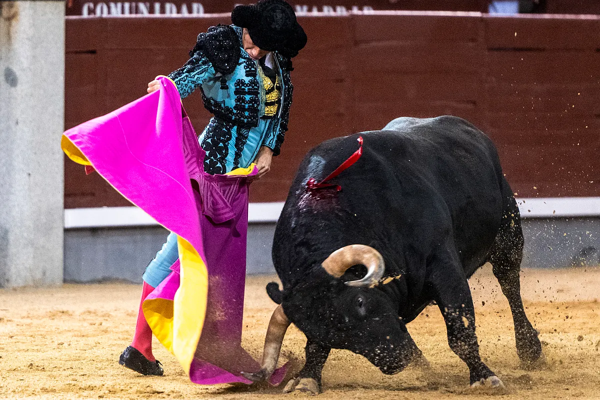 El capote de José Garrido ilumina la nocturna de la virgen de la Paloma en Las Ventas