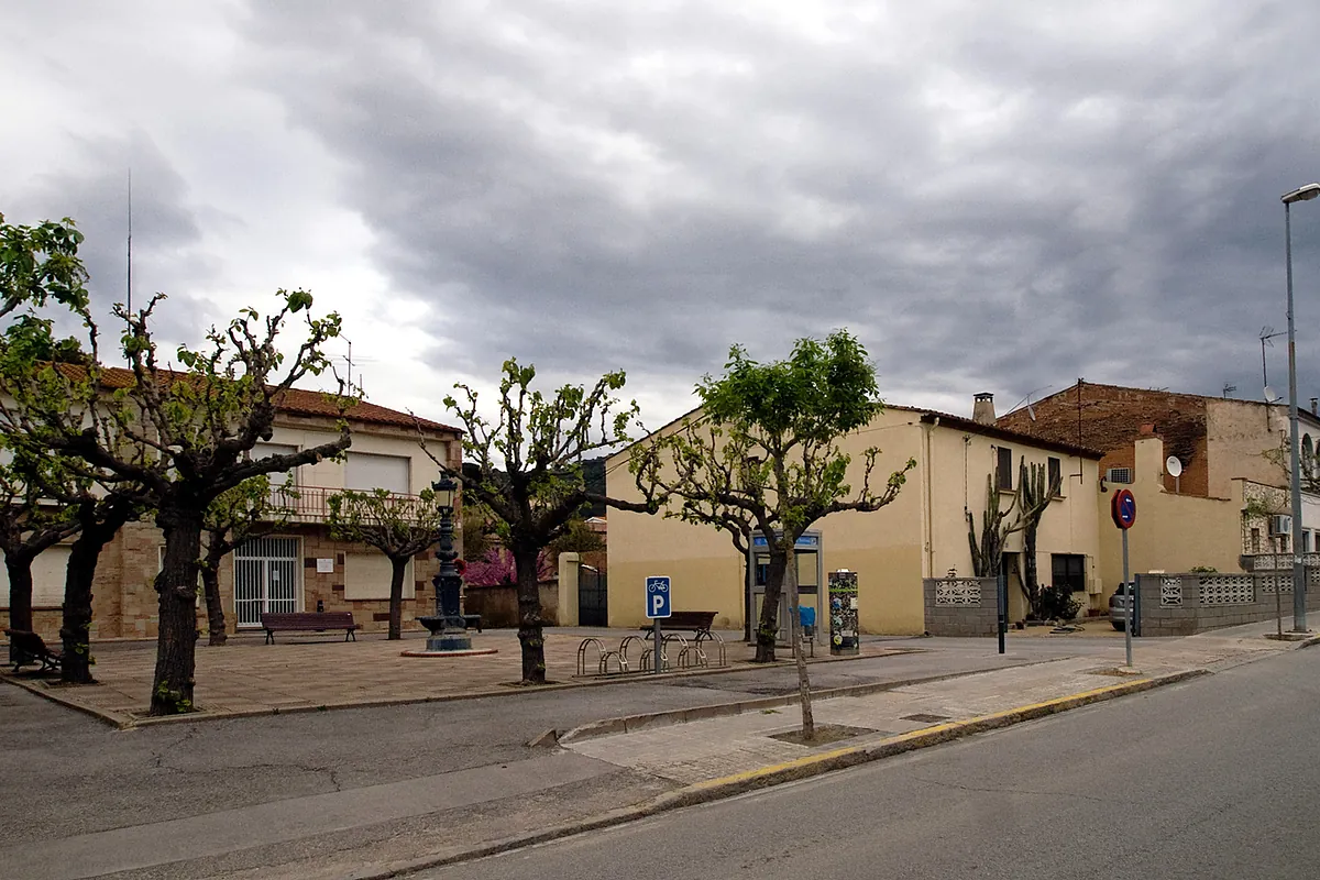 Martorellas (Barcelona) activa la prealerta sanitaria por una plaga de moscas en su polígono industrial
