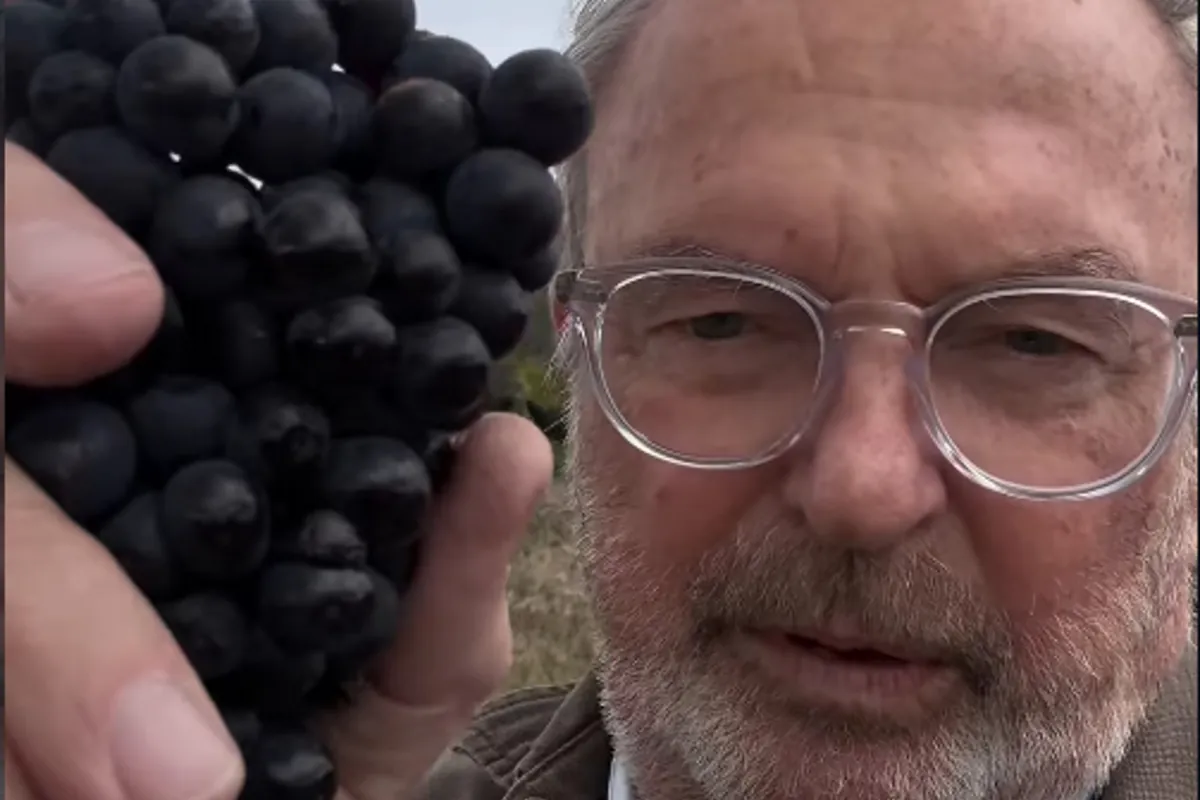 Sam Neill, el discreto actor celoso de su vida privada: las mujeres de su vida, sus cuatro hijos, sus ocho nietos y su pasión por el vino