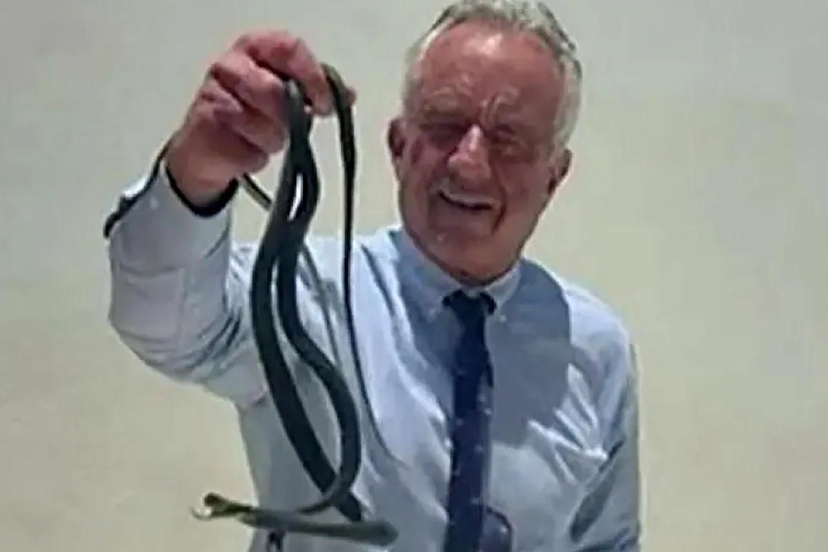 El vídeo viral del secretario de Salud de EEUU, Robert F. Kennedy Jr., manipulando una serpiente