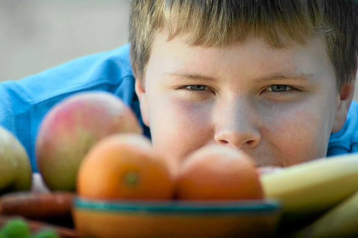 Los niños con obesidad presentan una menor diversidad de bacterias en su microbiota