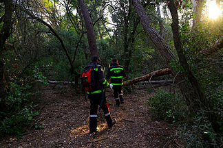 Catalu�a eleva a 216 los casos de peste porcina y un jabal� infectado en Sant Just Devern obliga a ampliar el radio de seguridad