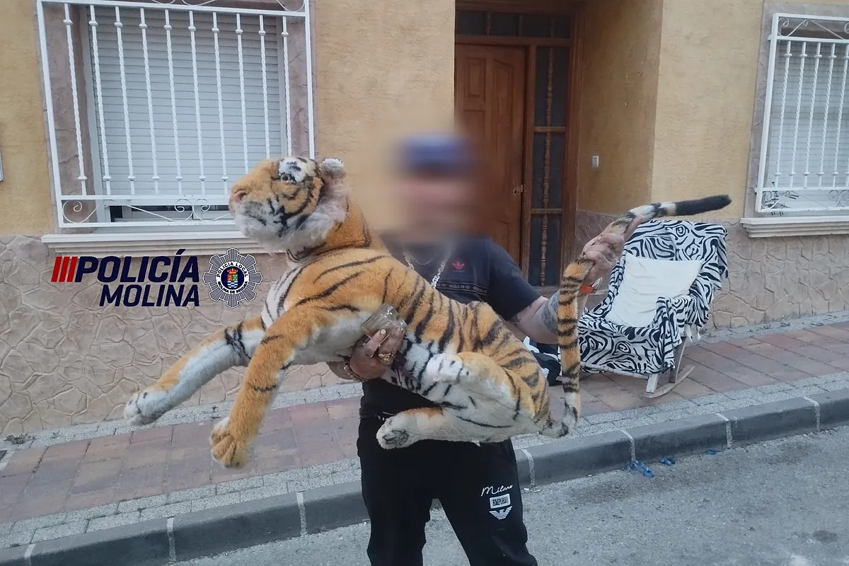 Pánico entre los vecinos de Molina de Segura (Murcia) por la presencia de un 'tigre' en los tejados de la zona