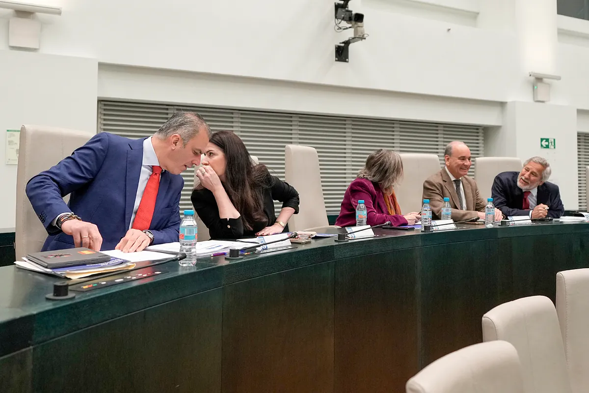 El primer día del divorcio de Vox en Cibeles: ni una mirada entre Cabello y Ortega, votación por separado y 'pellizcos' del PP: "¿Seguro que quiere hablar de empadronamientos ilegales?"